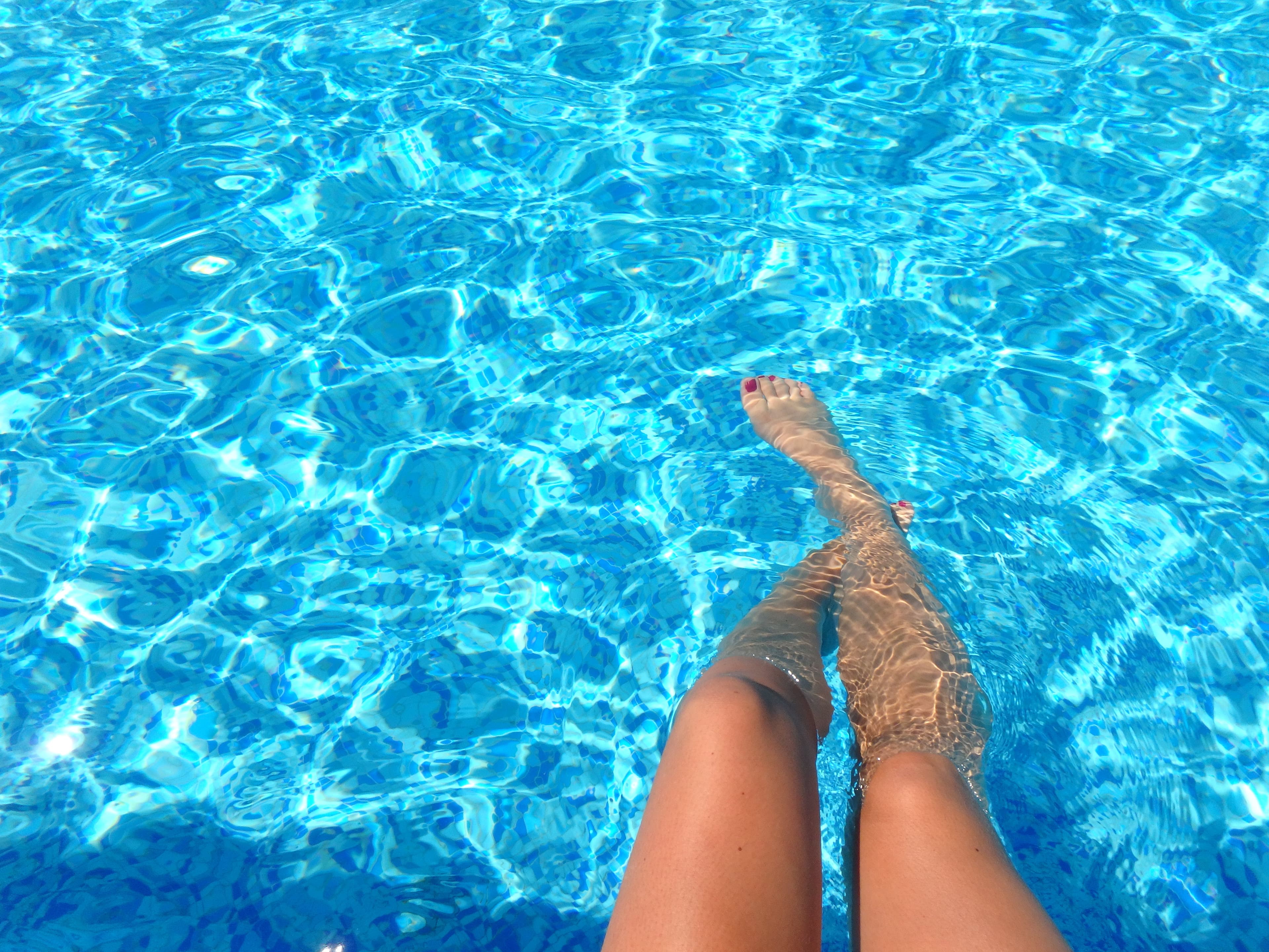 Maintained backyard swimming pool